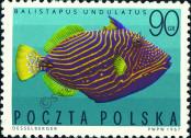 Stamp Poland Catalog number: 1752