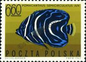Stamp Poland Catalog number: 1755