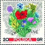 Stamp Poland Catalog number: 1781