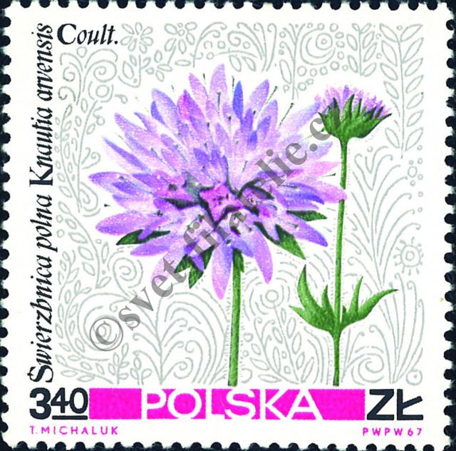 Catalog number: 1787