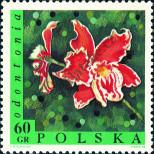Stamp Poland Catalog number: 1840