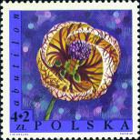 Stamp Poland Catalog number: 1842