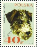 Stamp Poland Catalog number: 1899