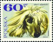 Stamp Poland Catalog number: 1900