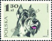 Stamp Poland Catalog number: 1901