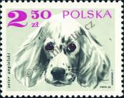 Stamp  Catalog number: 1902
