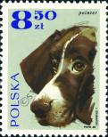 Stamp Poland Catalog number: 1905