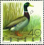 Stamp Poland Catalog number: 1988