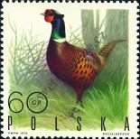 Stamp Poland Catalog number: 1989