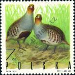 Stamp Poland Catalog number: 1994