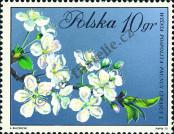 Stamp Poland Catalog number: 2132