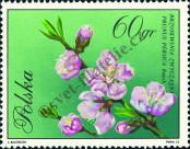 Stamp Poland Catalog number: 2135
