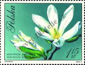 Stamp Poland Catalog number: 2136