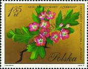 Stamp Poland Catalog number: 2137