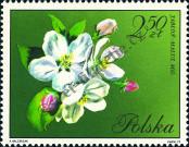 Stamp Poland Catalog number: 2138