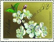 Stamp Poland Catalog number: 2141