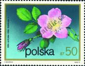 Stamp Poland Catalog number: 2215