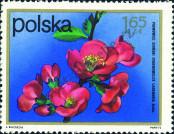Stamp Poland Catalog number: 2217
