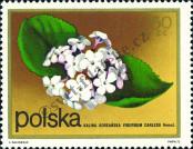 Stamp Poland Catalog number: 2218