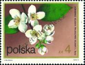 Stamp Poland Catalog number: 2220