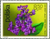 Stamp Poland Catalog number: 2221
