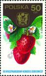 Stamp Poland Catalog number: 2329