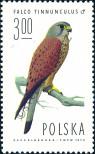Stamp Poland Catalog number: 2359