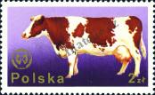 Stamp Poland Catalog number: 2381