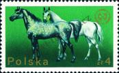 Stamp Poland Catalog number: 2383