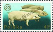 Stamp Poland Catalog number: 2384