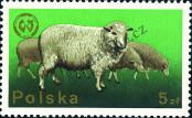 Stamp Poland Catalog number: 2385