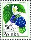 Stamp Poland Catalog number: 2487