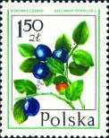 Stamp Poland Catalog number: 2490