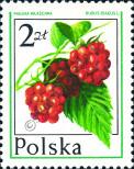 Stamp Poland Catalog number: 2491