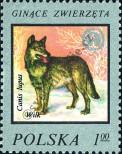 Stamp Poland Catalog number: 2504