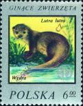 Stamp Poland Catalog number: 2507