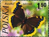 Stamp Poland Catalog number: 2519