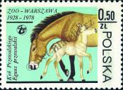 Stamp Poland Catalog number: 2584