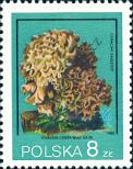 Stamp Poland Catalog number: 2697
