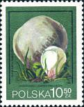 Stamp Poland Catalog number: 2698