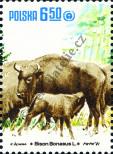 Stamp Poland Catalog number: 2767
