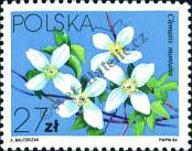 Stamp Poland Catalog number: 2911