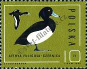 Stamp Poland Catalog number: 3000