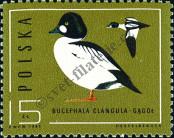 Stamp Poland Catalog number: 3001
