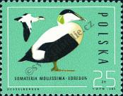 Stamp Poland Catalog number: 3002