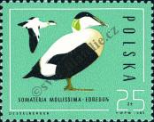 Stamp Poland Catalog number: 3002