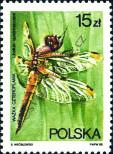 Stamp Poland Catalog number: 3136