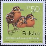 Stamp Poland Catalog number: 3688