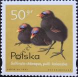 Stamp Poland Catalog number: 3689