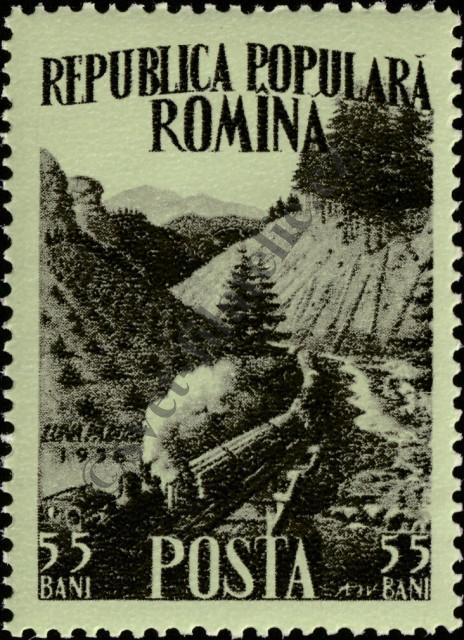Catalog number: 1581